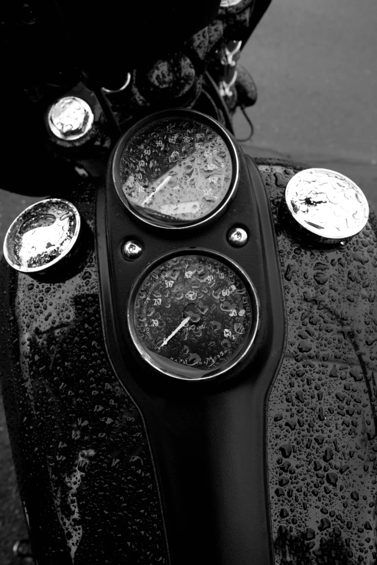 Photography work by Alex B.