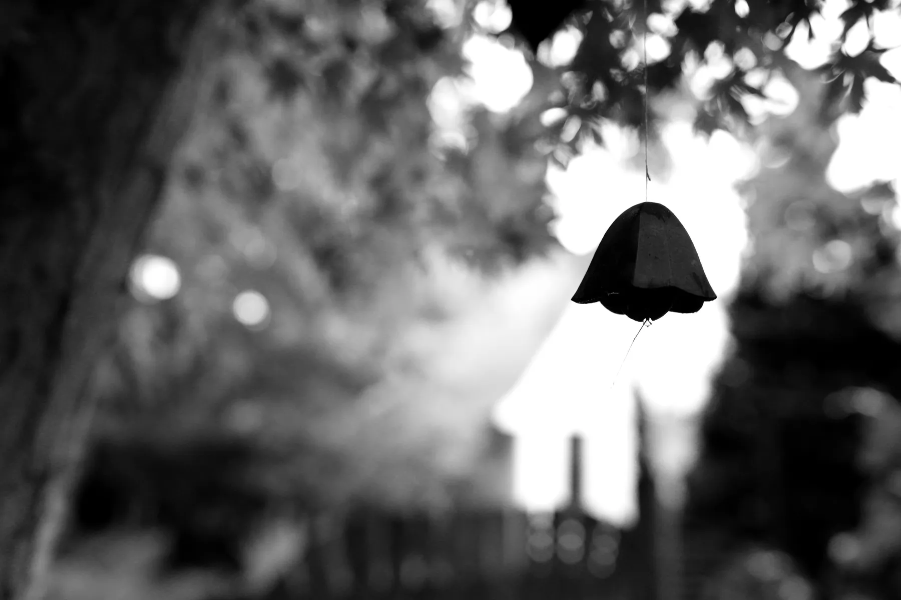 Photography work by Alex B.