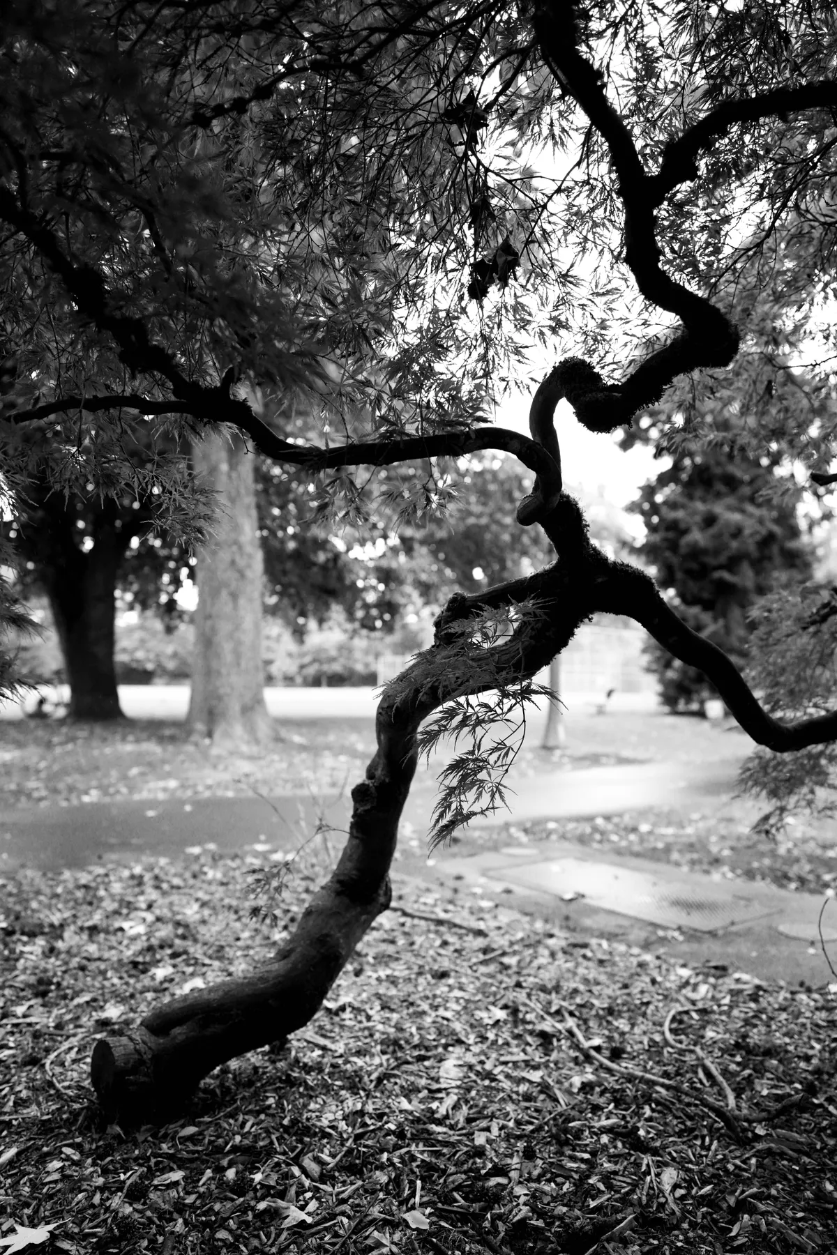 Photography work by Alex B.
