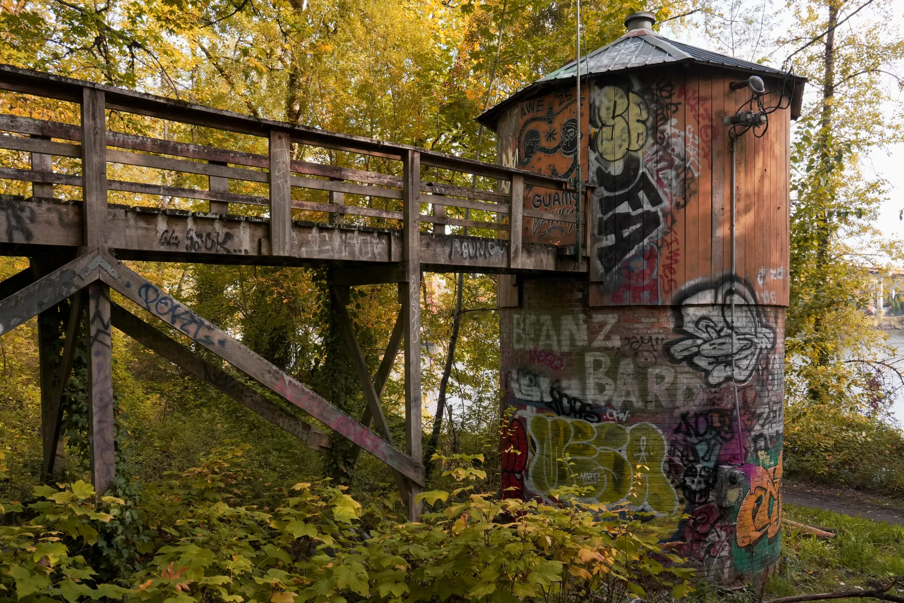 Photography work by Alex B.