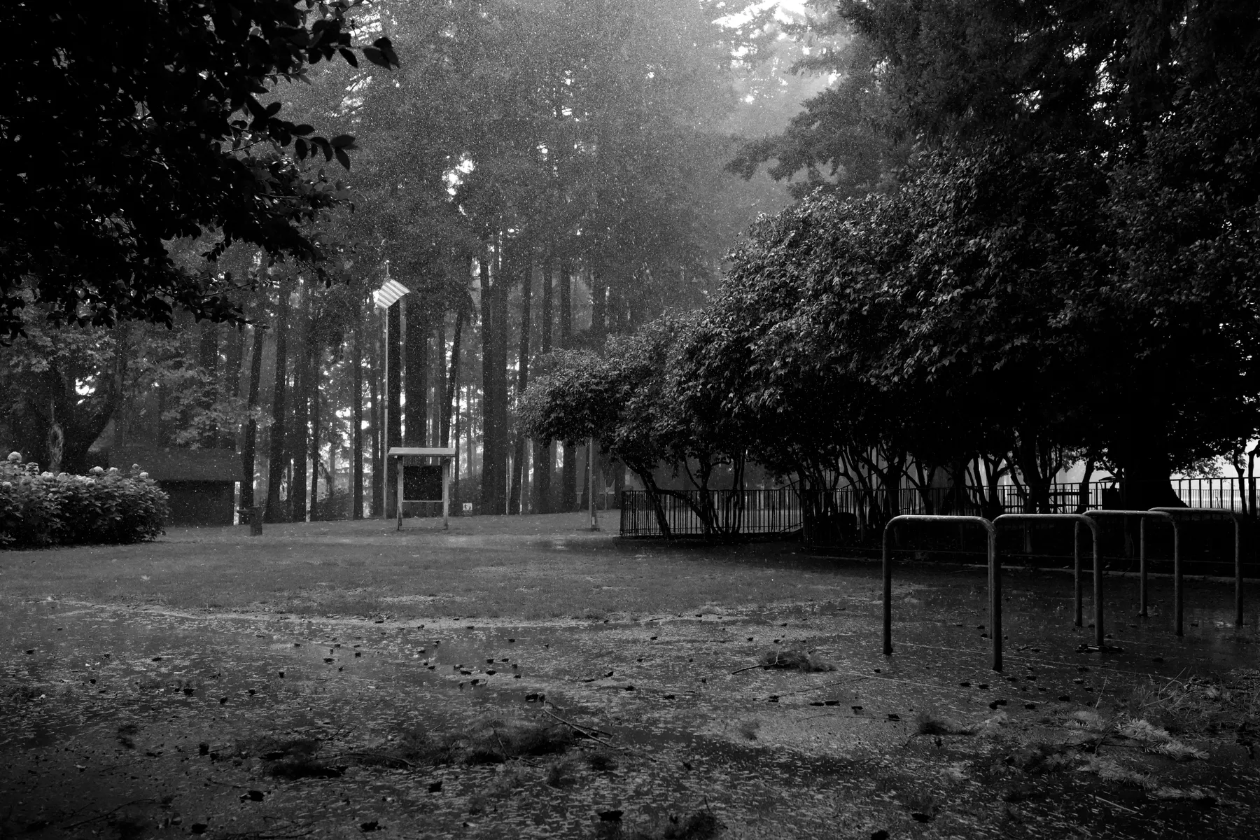 Photography work by Alex B.