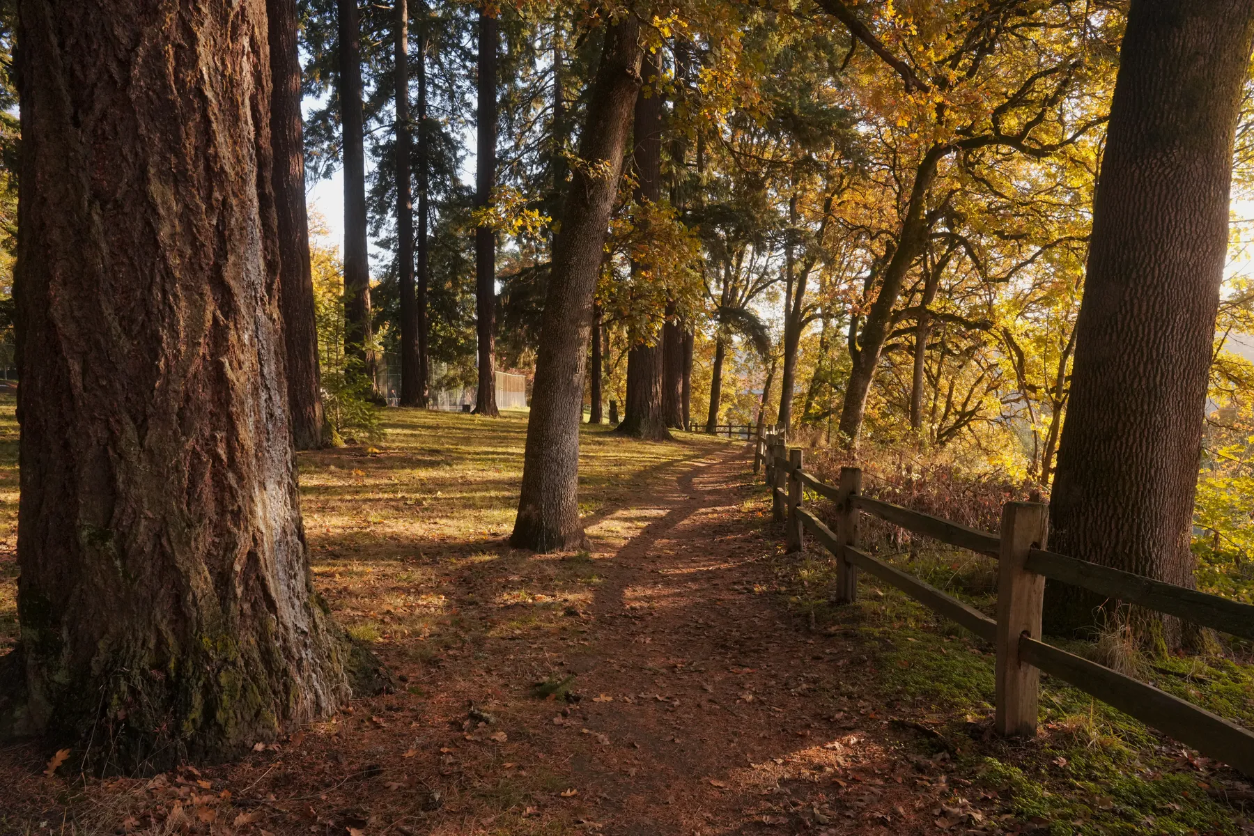 Photography work by Alex B.