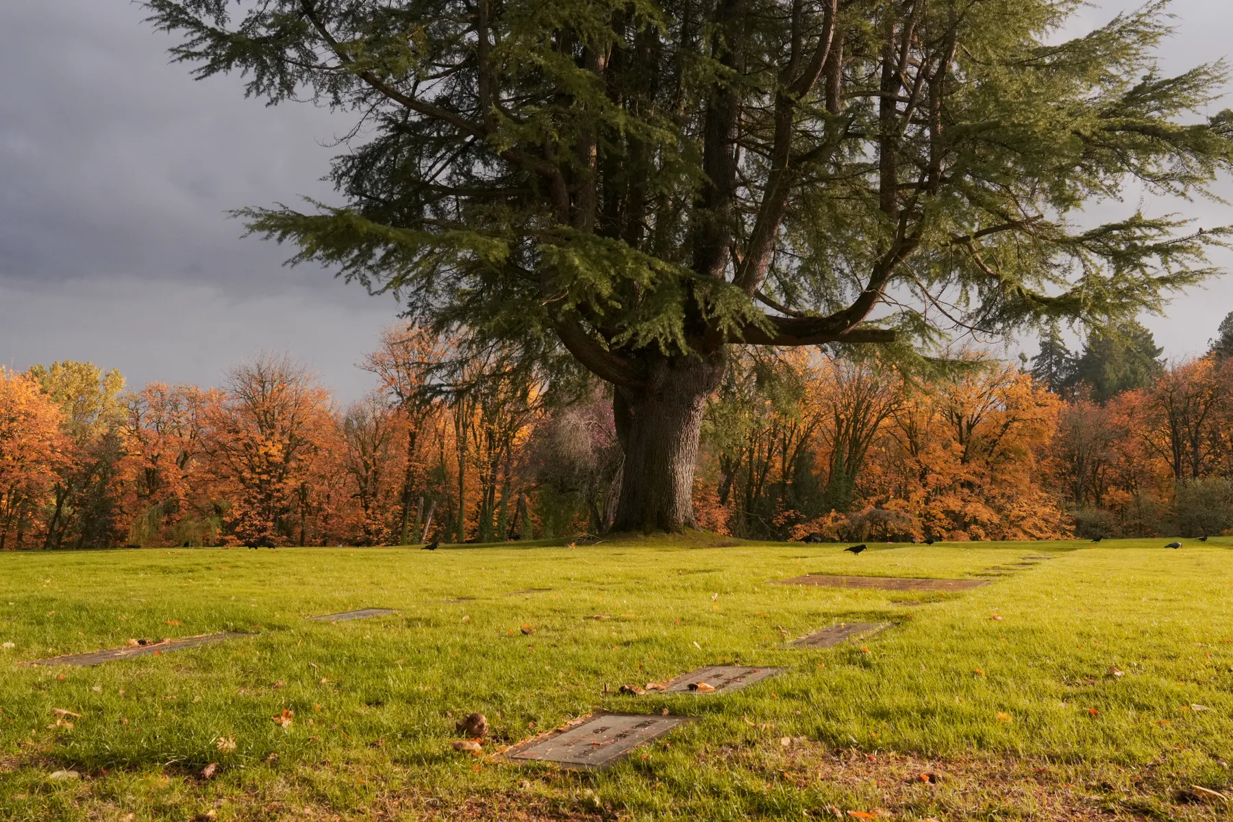 Photography work by Alex B.