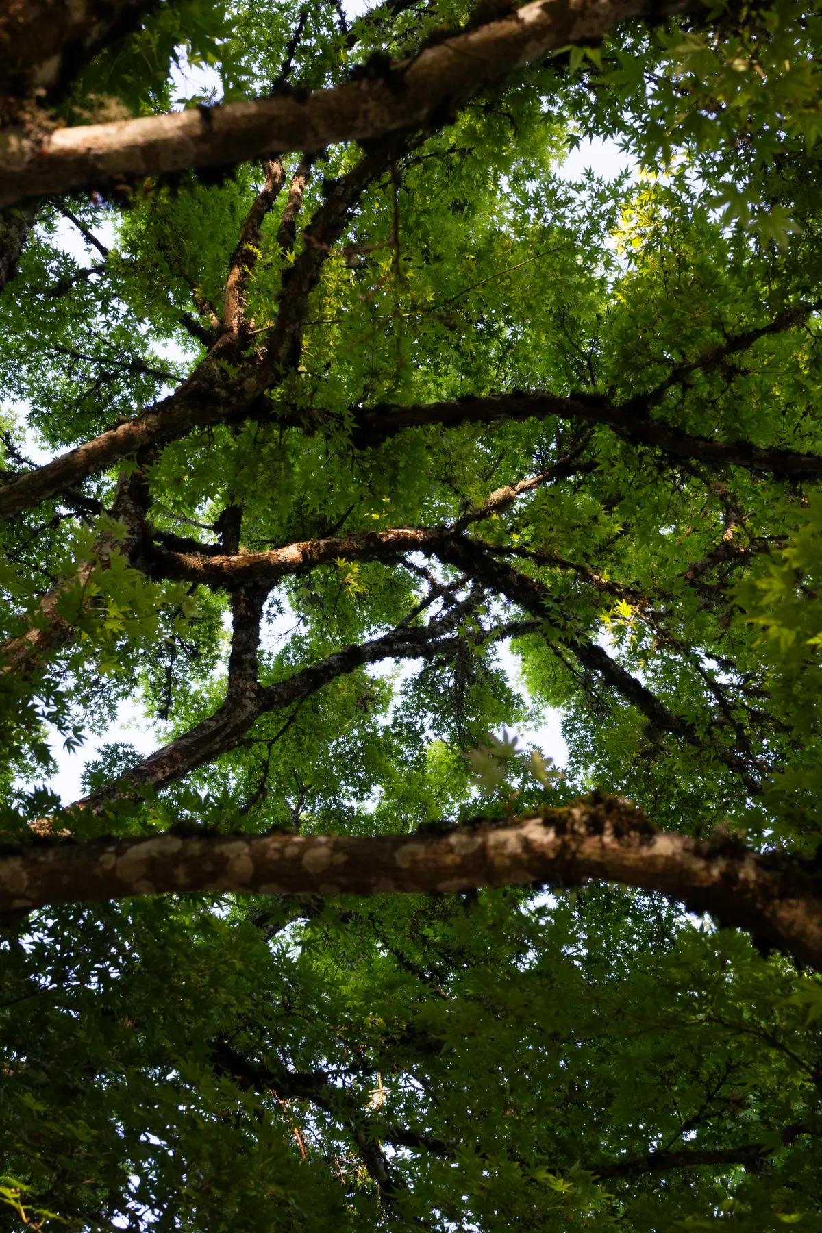 Photography work by Alex B.