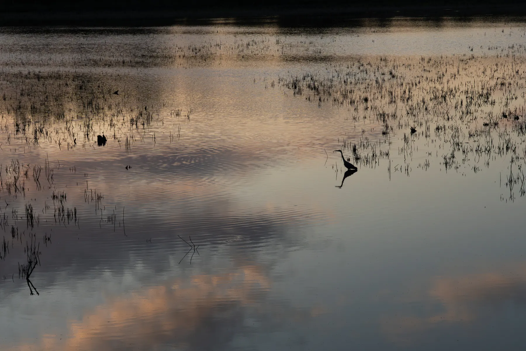 Photography work by Alex B.