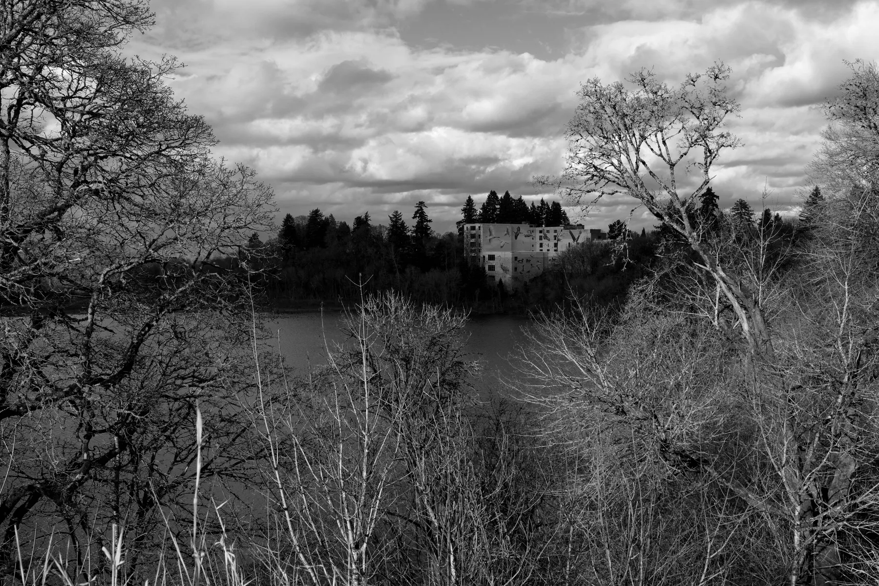Photography work by Alex B.