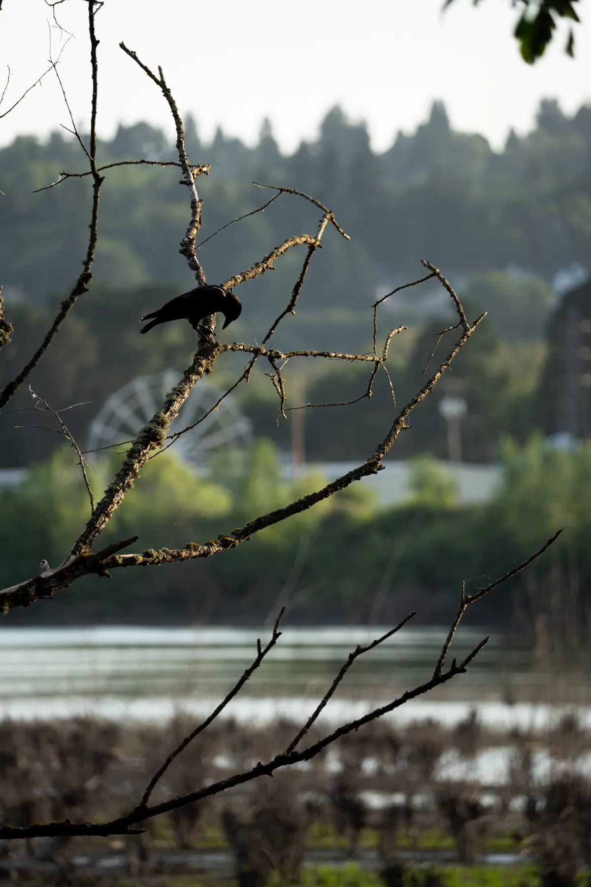 Photography work by Alex B.