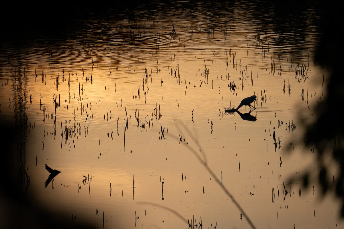 Photography work by Alex B.