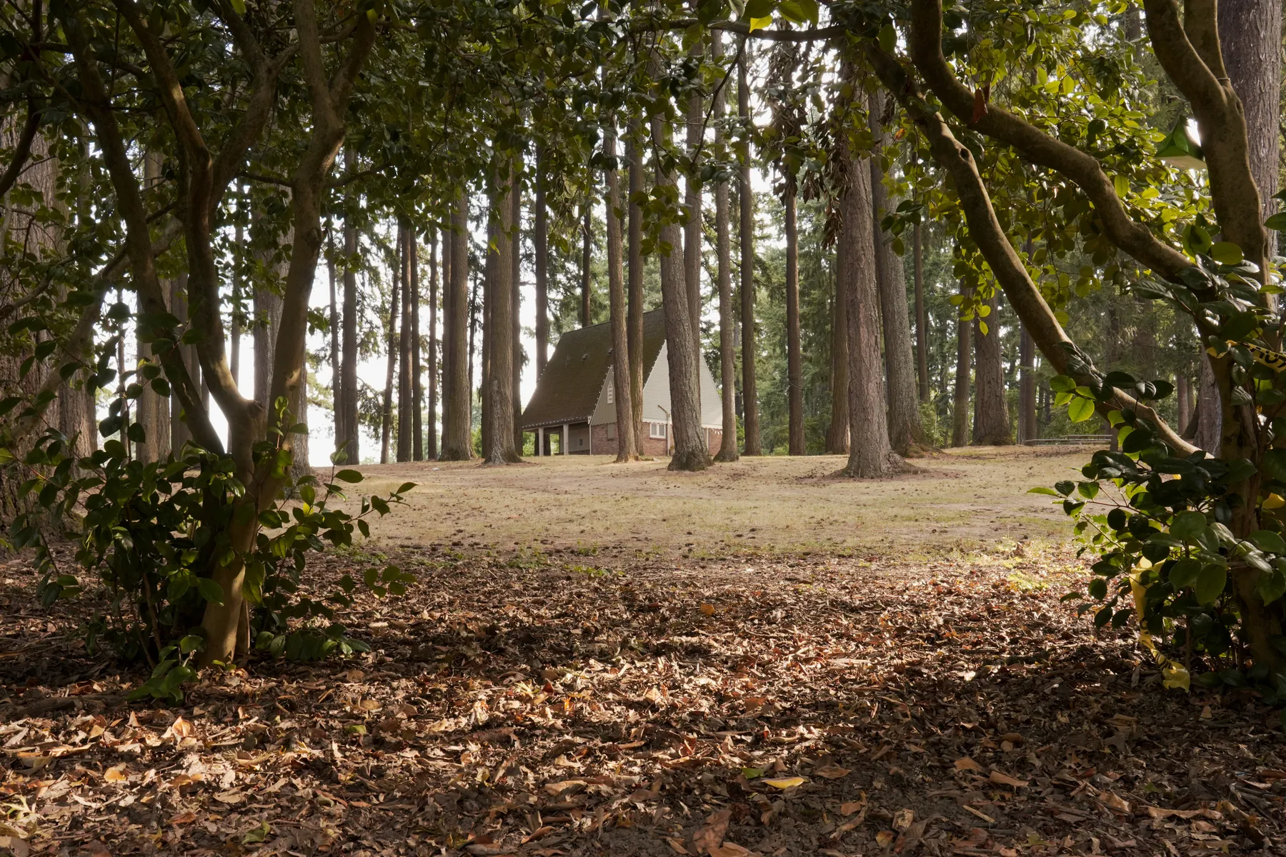 Photography work by Alex B.